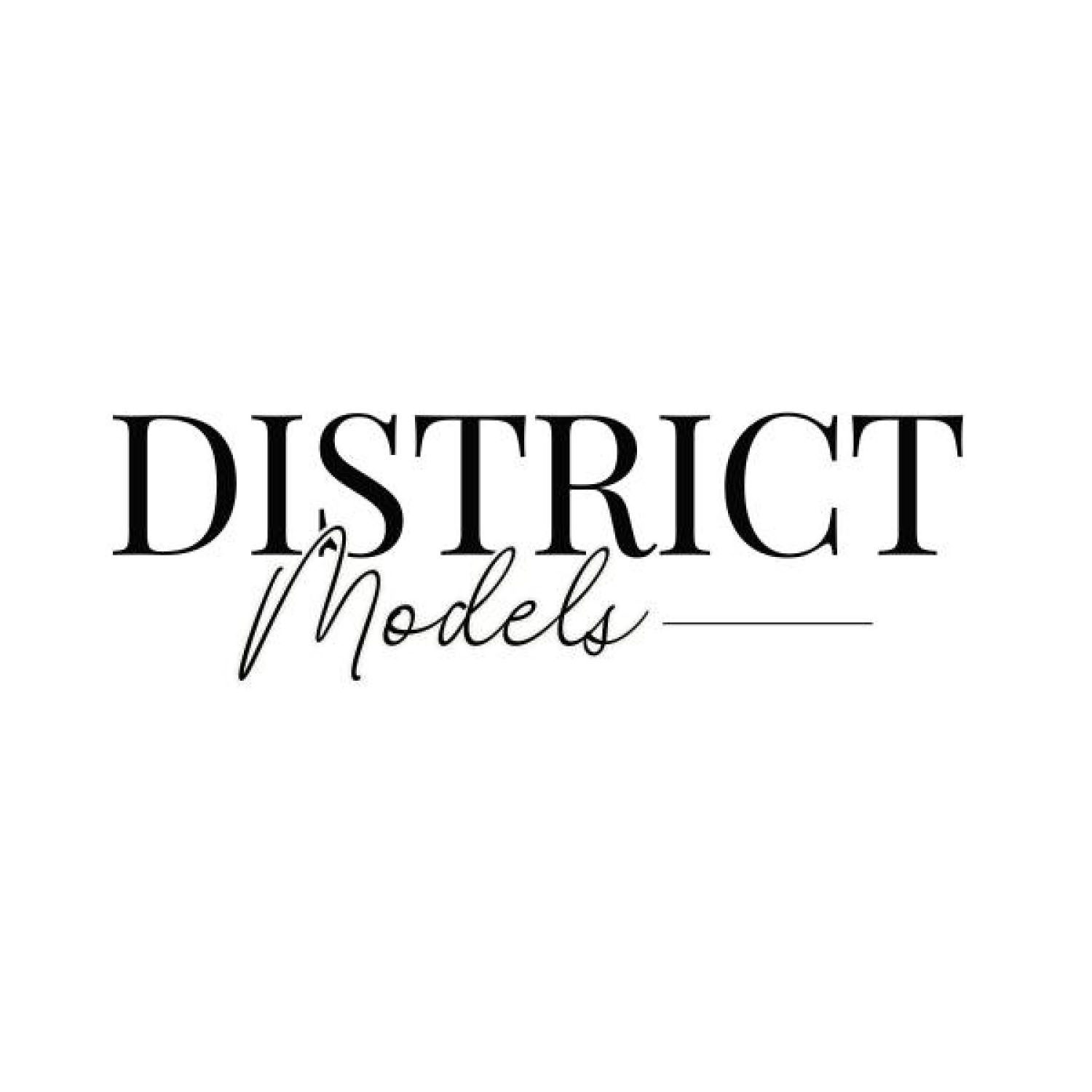 District Models Logo